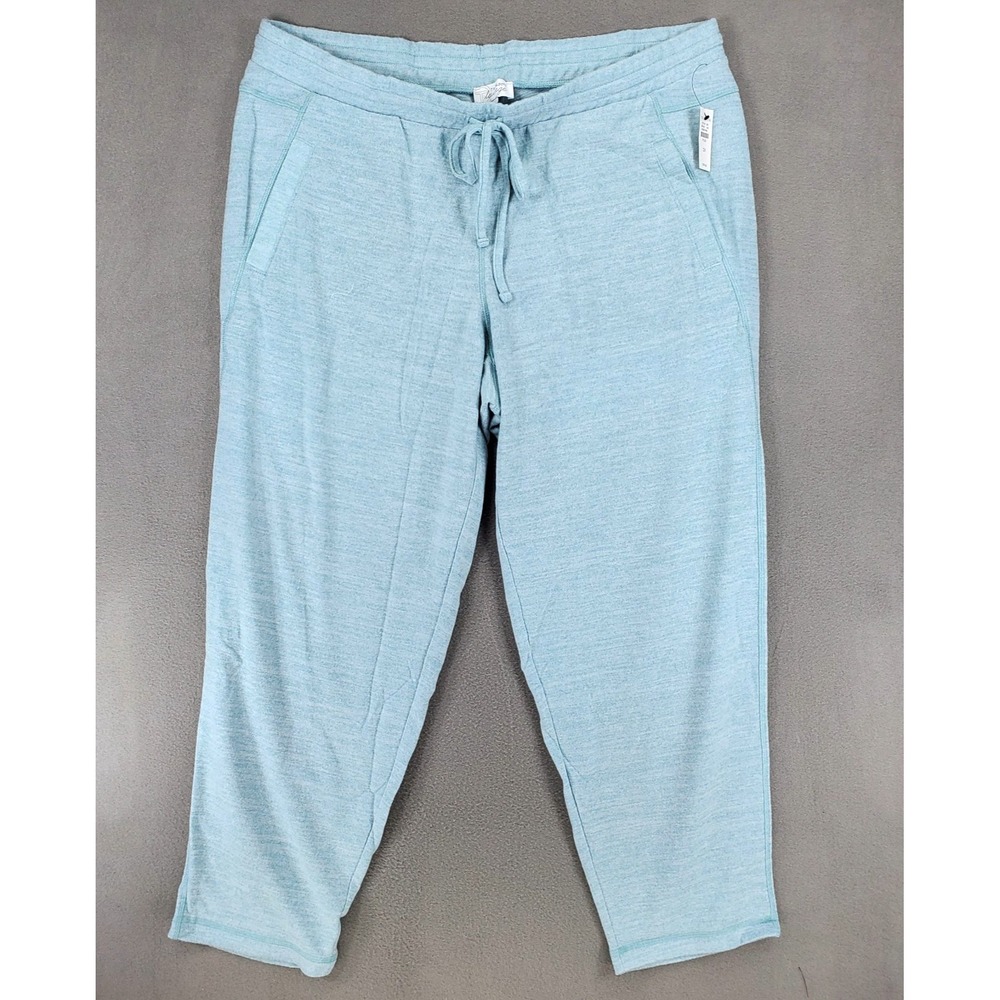 Talbots Light Blue Drawstring Jogger Pants